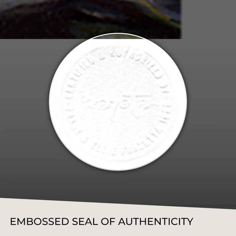 Sideshow Collectibles Kane on the Golden Sea Fine Art Print