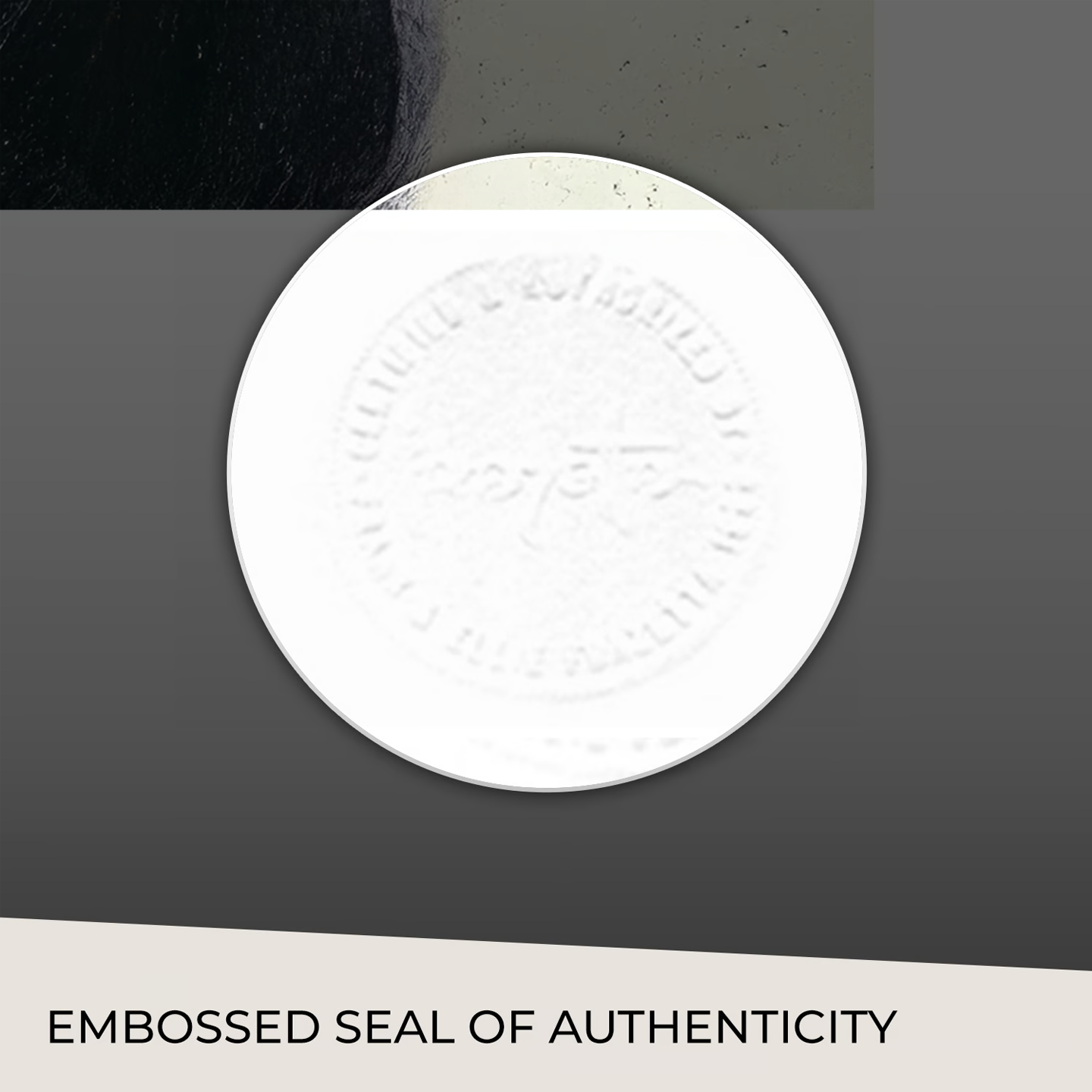 Close-up of the embossed seal of authenticity on the Frazetta &