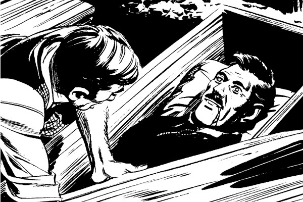 Original Graphic Novel Dracula