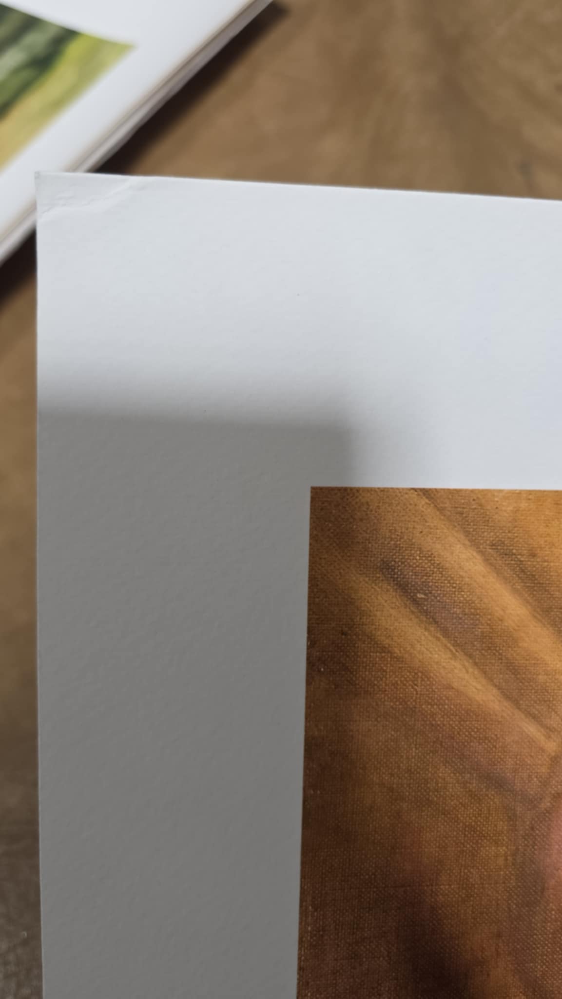 Sideshow Collectibles The Barbarian Fine Art Print B-Stock