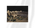Unframed fine art print of Frogs on the Moon by Frank Frazetta. Alien frogs gather in an eerie moonlit crater, their strange forms blending into a quiet, desolate moonscape.