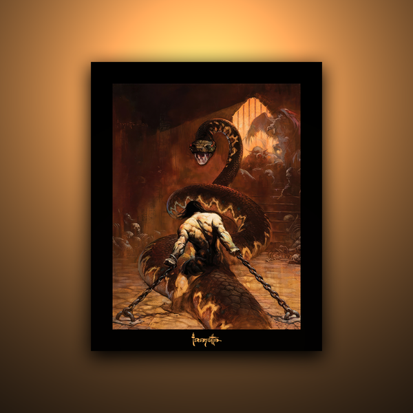The Art of Frank Frazetta① The art of Frank Frazetta books / art books & sketchbooks of
