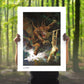 Sideshow Collectibles Beauty and the Beast Fine Art Print
