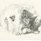 Fire and Ice Portfolio