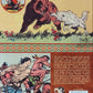 White Indian Soft Cover
